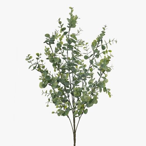 FI8316GR Eucalyptus Bush