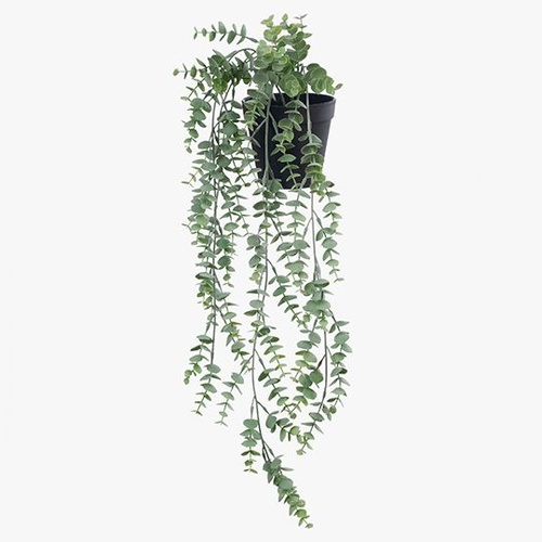 FI8342GY Eucalyptus Hanging Bush in Pot
