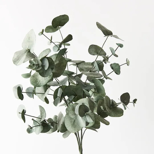 Floral Interiors Eucalyptus Silver Dollar Bush 55cm - Forest Green