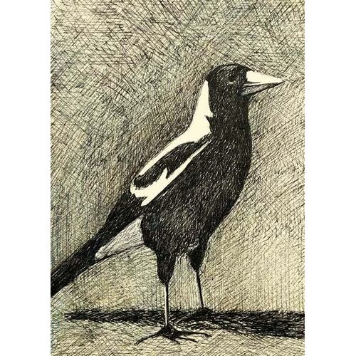 Nuovo Native Australian Magpie Bird Card
