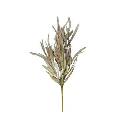 Life Botanic Tall Grass Stem 58cm - Natural