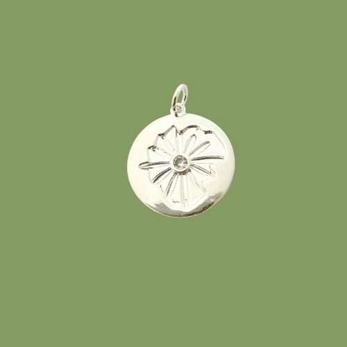 Vintage Lane Silver Charms
